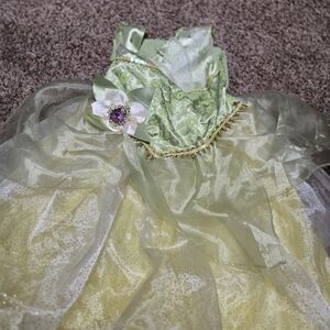 Disney Princess Green Dress with Gold Accents